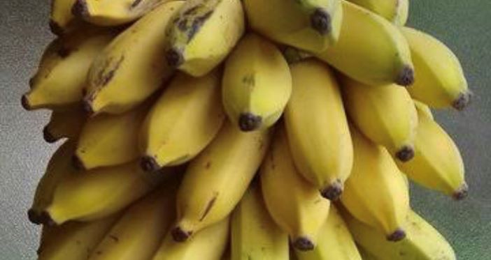 banana economia